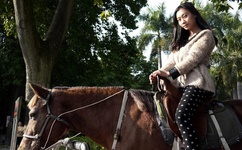 野花日本大全免费观看3中文版